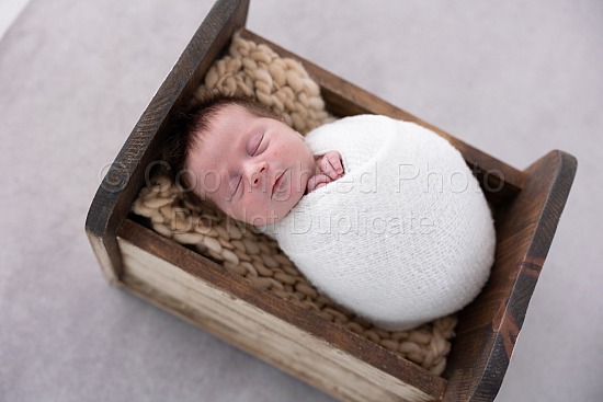 Amanda - newborn