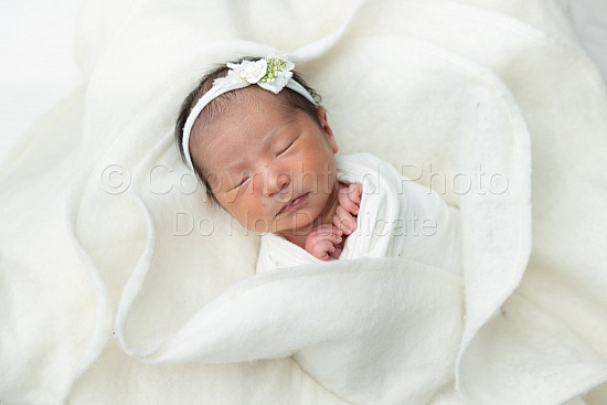 Anna - Newborn