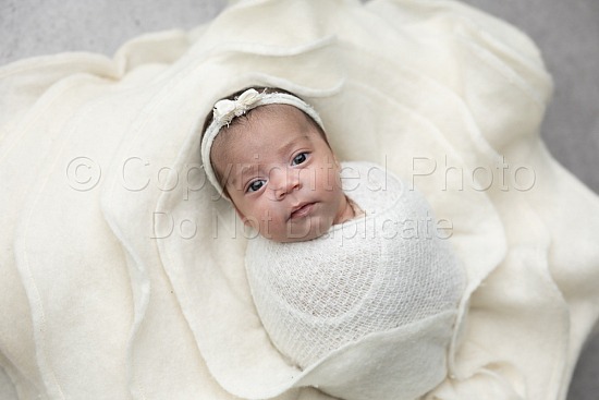 Lauryn
